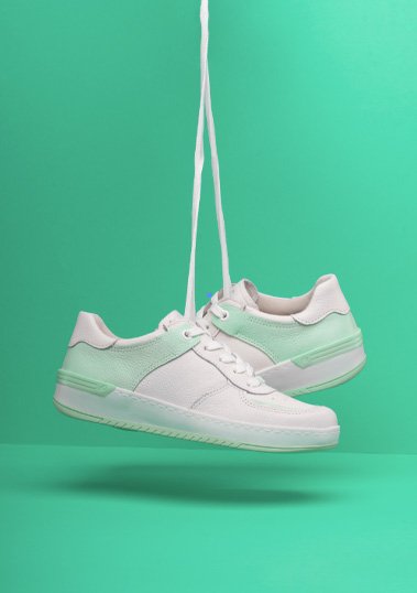 shoe